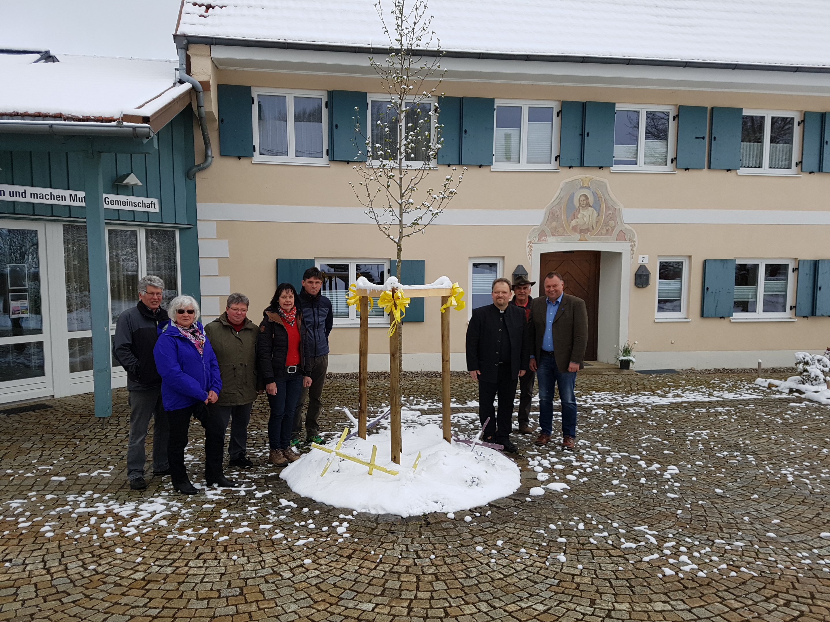 Magnolia Kobus – der Wiggensbacher Baum des Jahres