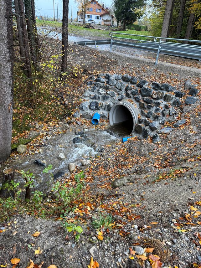 Straßensanierung Rauhenstein